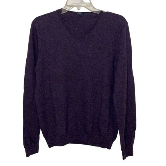 Gap Purple Merino Wool Knit Pullover V-Neck Sweater Men's Size Large Preppy - Picture 1 of 10